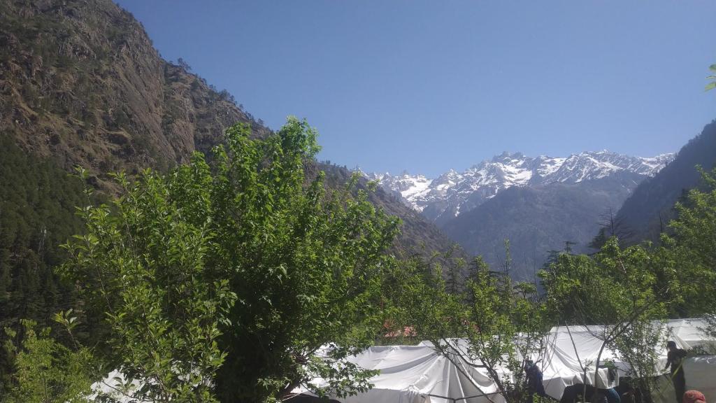 See Himalaya Camps, Kasol Photo - 3