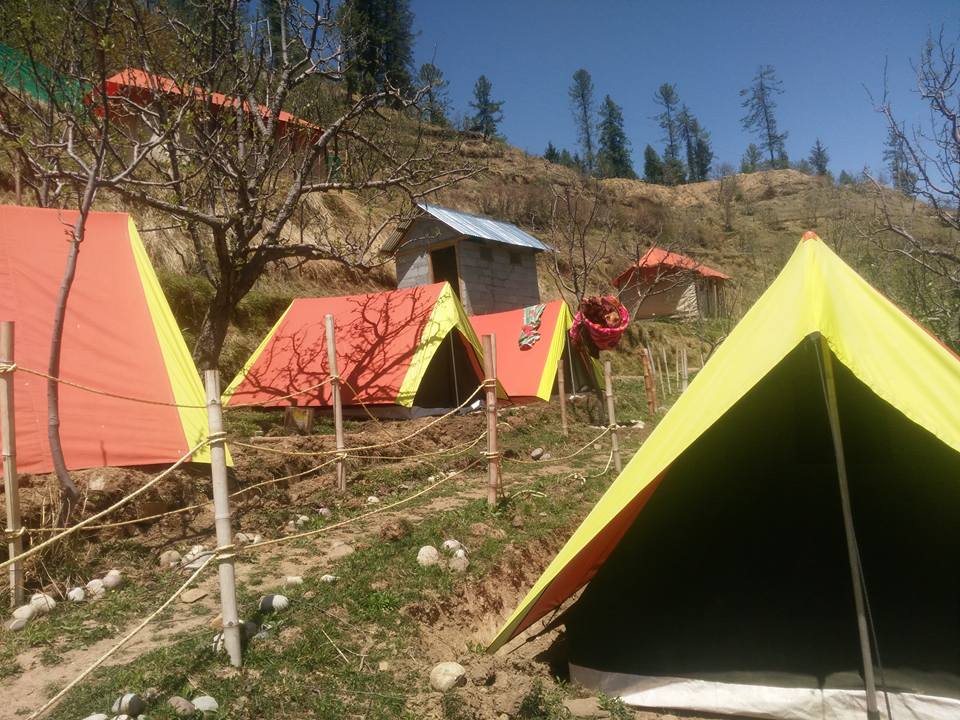 Camp Himalayan Yew, Nagrot Photo - 6