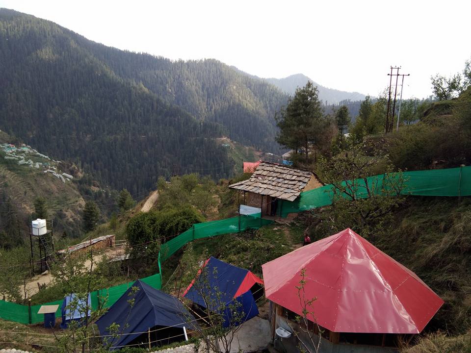 Camp Himalayan Yew, Nagrot Photo - 8