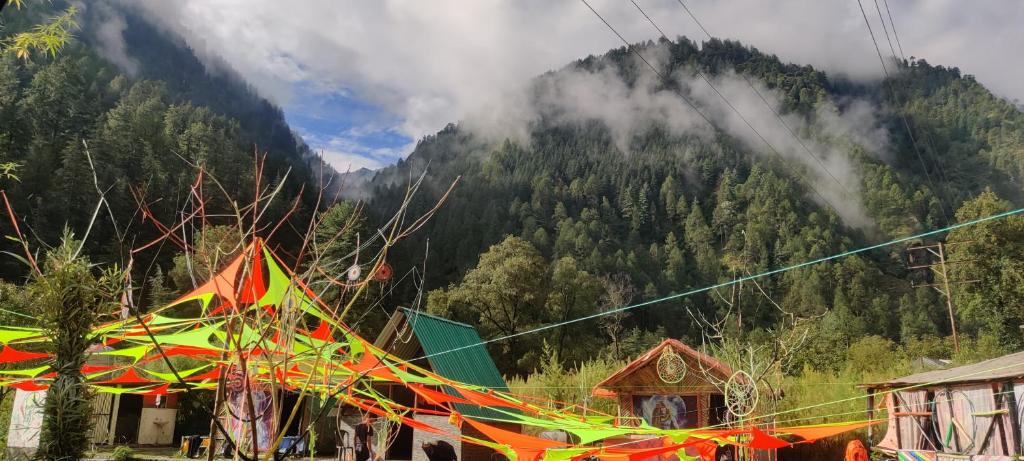 StayHigh Camp & Cottages, Kasol Photo - 8