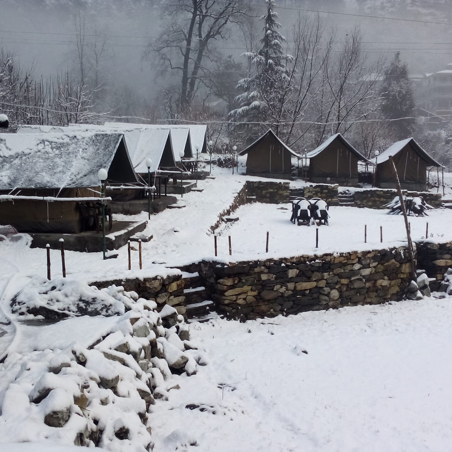 Parvati Peak Camp, Kasol Photo - 5