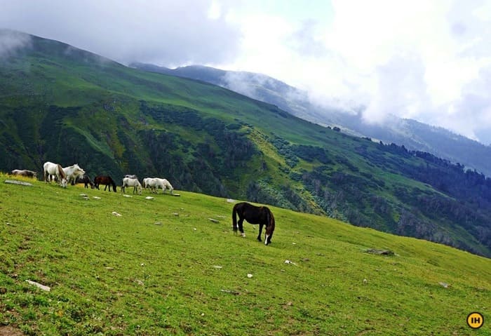 Bhrigu Lake Trek, Himachal Pradesh Photo - 5