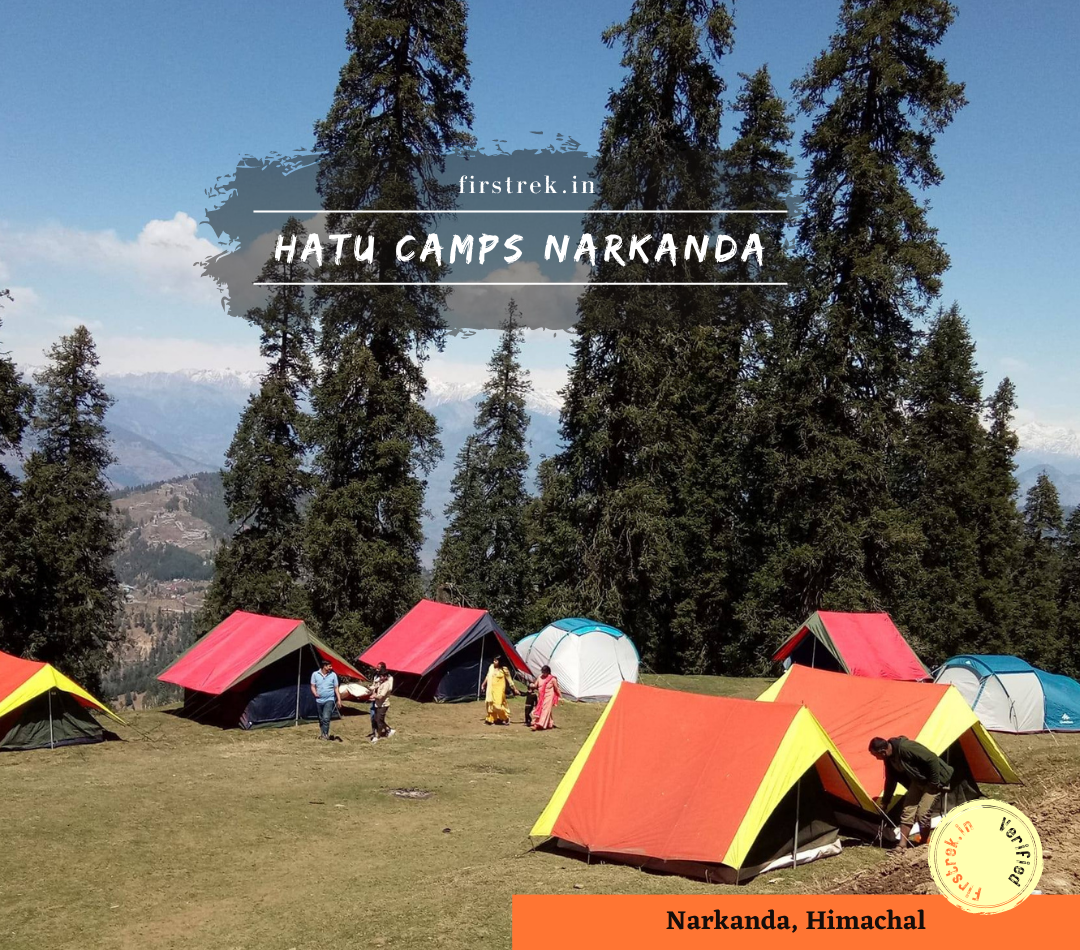 Hatu Camp, Narkanda