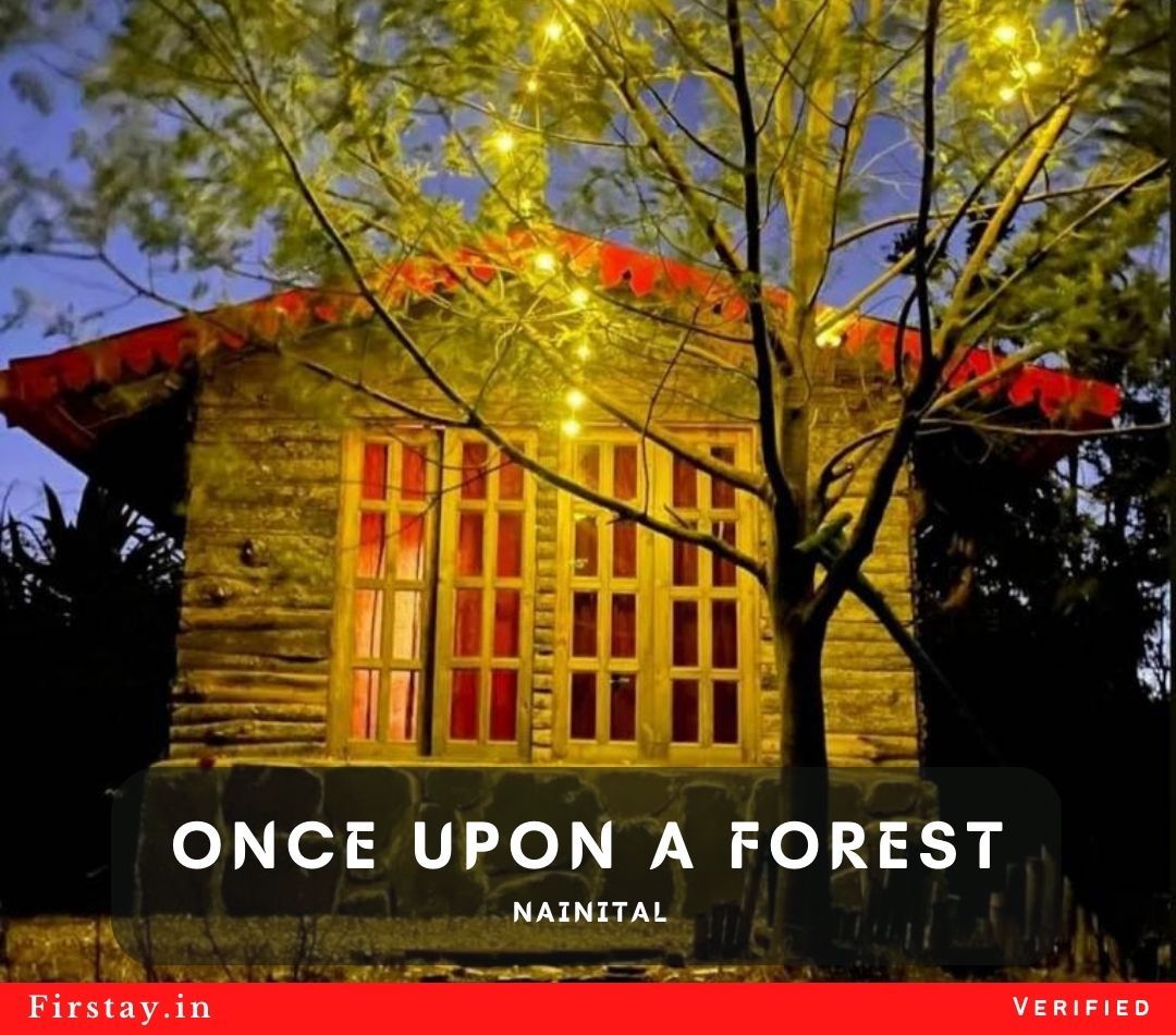 Once Upon A Forest, Nainital