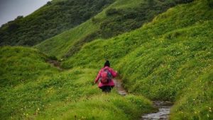 Rudranath Trek