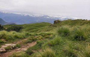 Rudranath Trek Devdarshini & Rudranath Bugyal