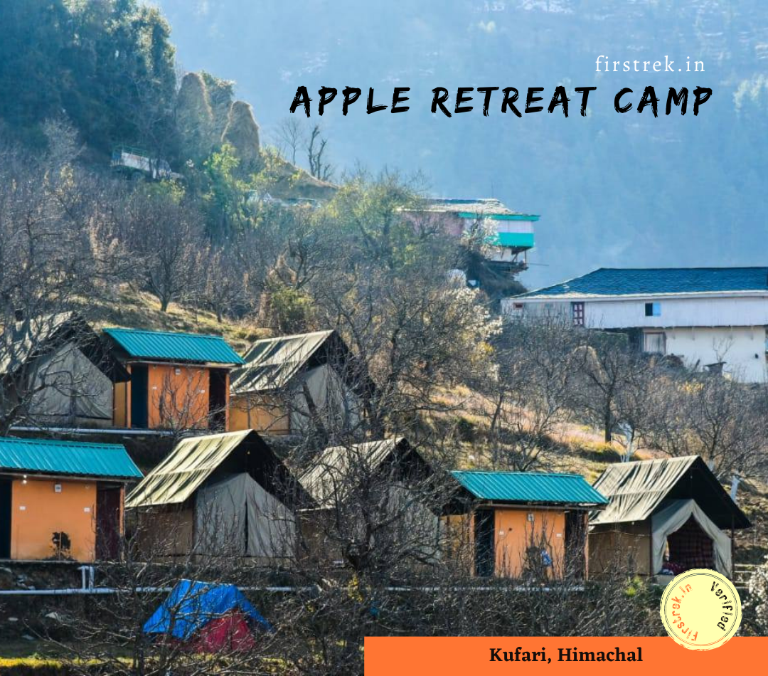 Apple Retreat Campsite, Kufri