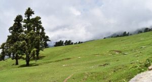 Bugyal Between Chopta & Tungnath Temple - Chopta tungnath trek