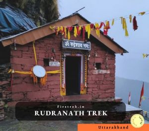 Rudranath Trek, Uttarakhand