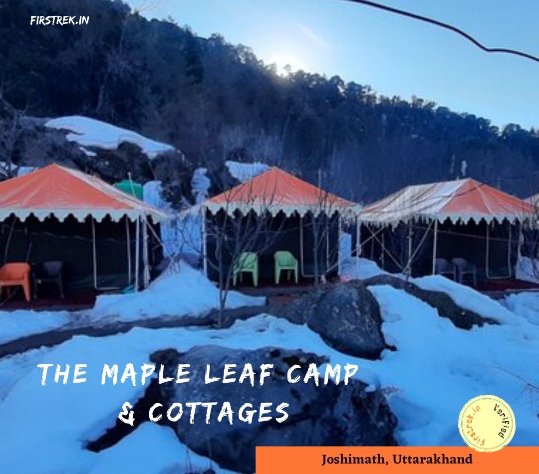 The Maple Leaf Camp & Cottages, Joshimath