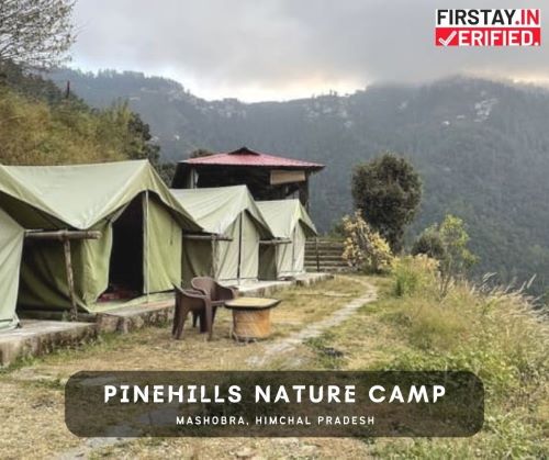 PineHills Nature Camp, Mashobra