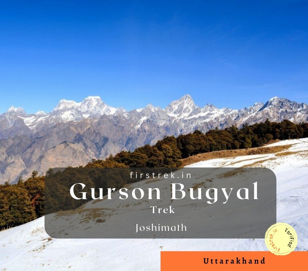 Gorson Bugyal Trek