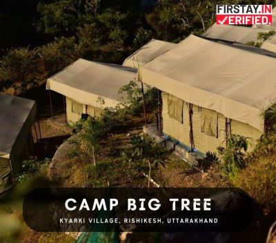 Camp Big Tree, Rishikesh