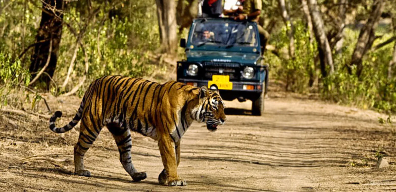 Rajaji Tiger Reserve, Rishikesh Photo - 2