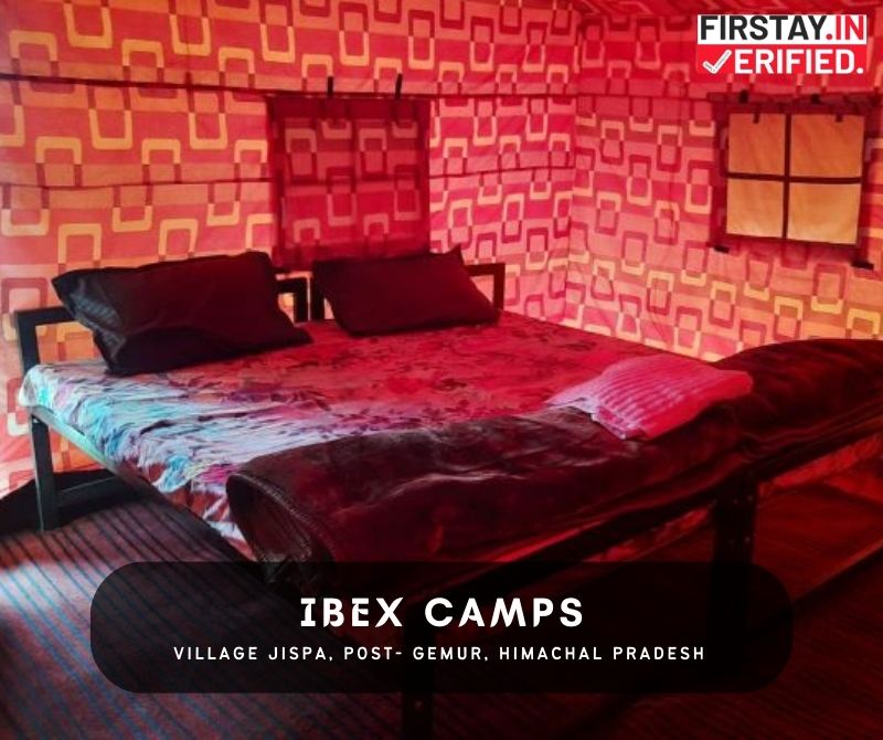 Ibex Camps Jispa