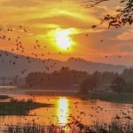 Kalsi – Ancient Town