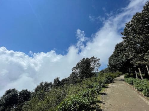 Benog Wildlife Sanctuary, Mussoorie