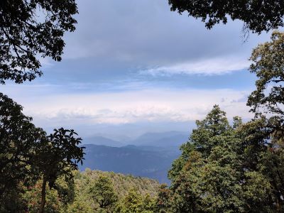 Binsar Wildlife Sanctuary, Almora