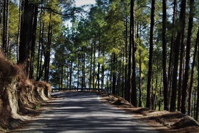 Gwaldam, Uttarakhand