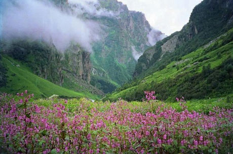 Nanda Devi National Park, Joshimath