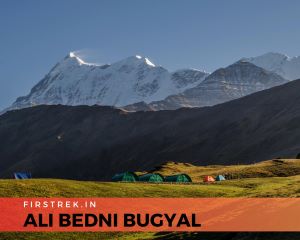 Ali-Bedni Bugyal, Uttarakhand