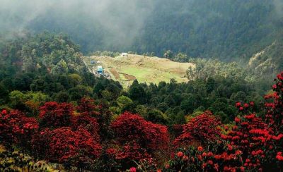 nature photography in chopta