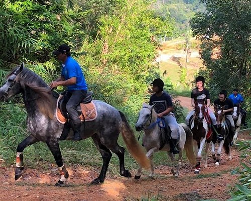 horse riding during camping in chakrata