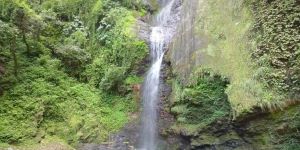 chadwick falls visit camping in shimla