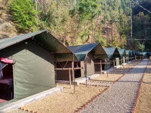 jungle stays camping in shimla