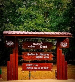 visit rajaji national-park camping in rishikesh