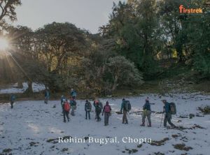 rohini bugyal near camping in chopta