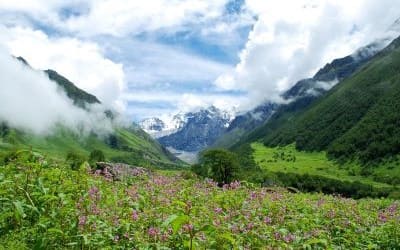 valley of flowers during camping in uttarakhand