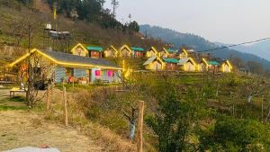 apple retreat camps in shimla