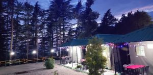 jungle woods camps in dhanaulti