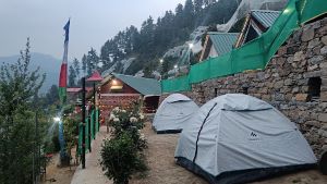 wild himalaya glamping camping in shimla