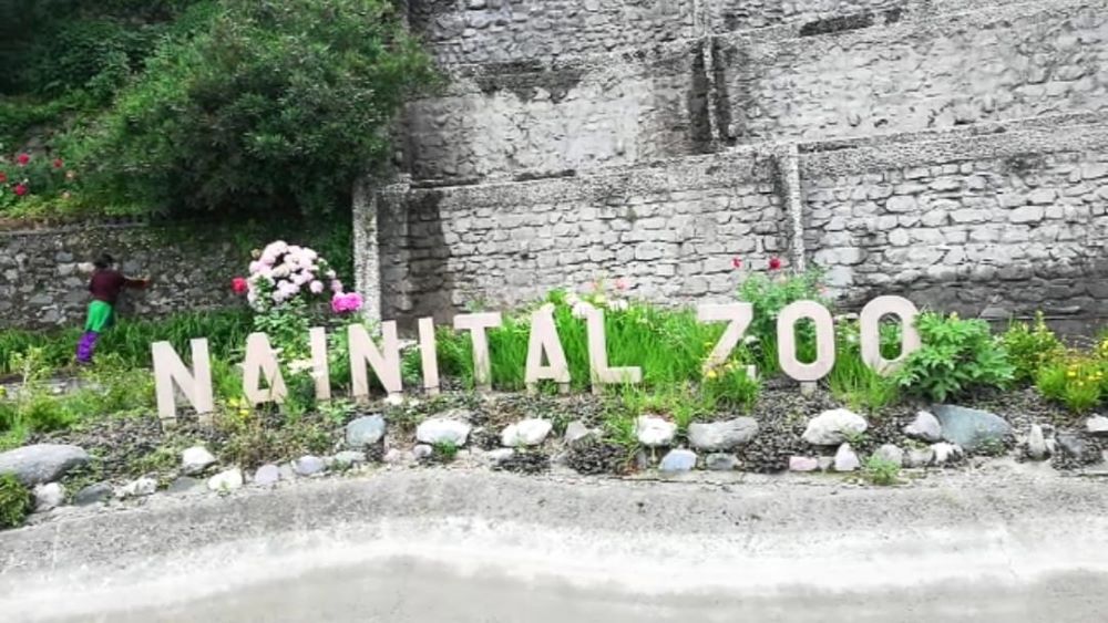 Nainital Zoo Photo - 0