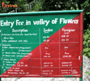 valley of flowers trek