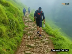 Rudranath Trek Trail